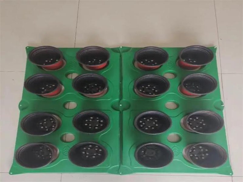 注塑加工：行业动态与未来趋势